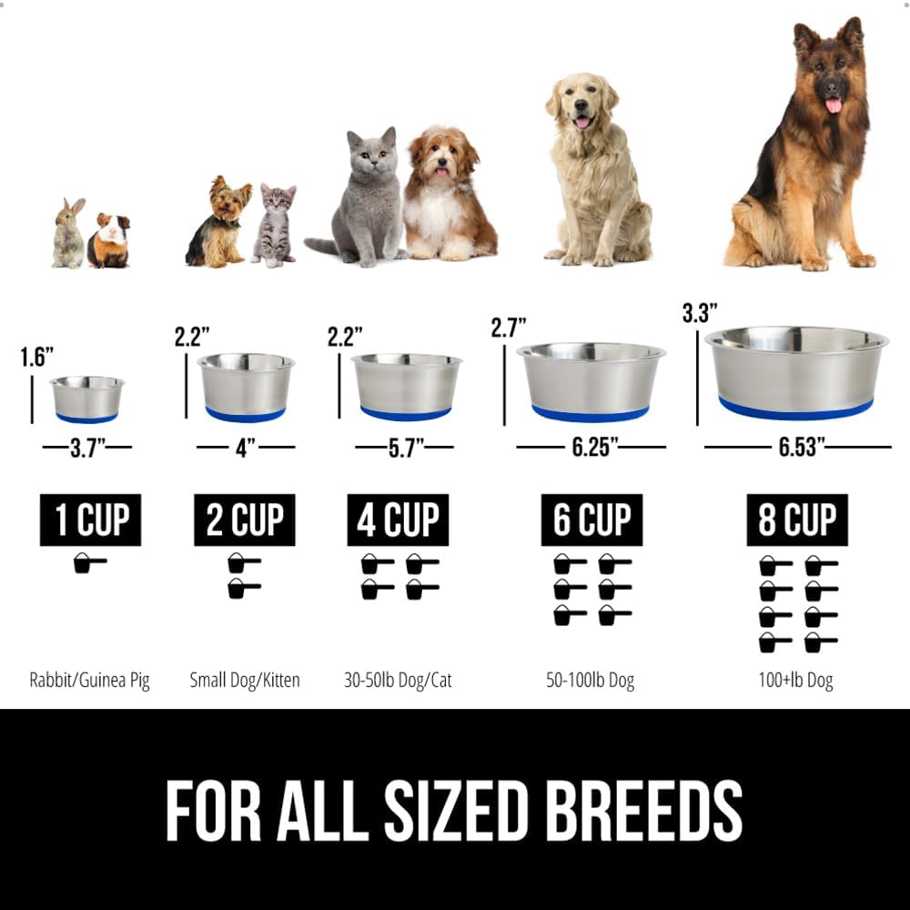 GORILLA GRIP Set of 2 Dog Bowls, Heavy Duty Metal Food and Water Bowl for Feeding Dogs and Cats, Dishwasher Safe, Rust Resistant Stainless Steel, BPA Free Rubber Base, Holds 1 Cup (8 fl oz), Blue