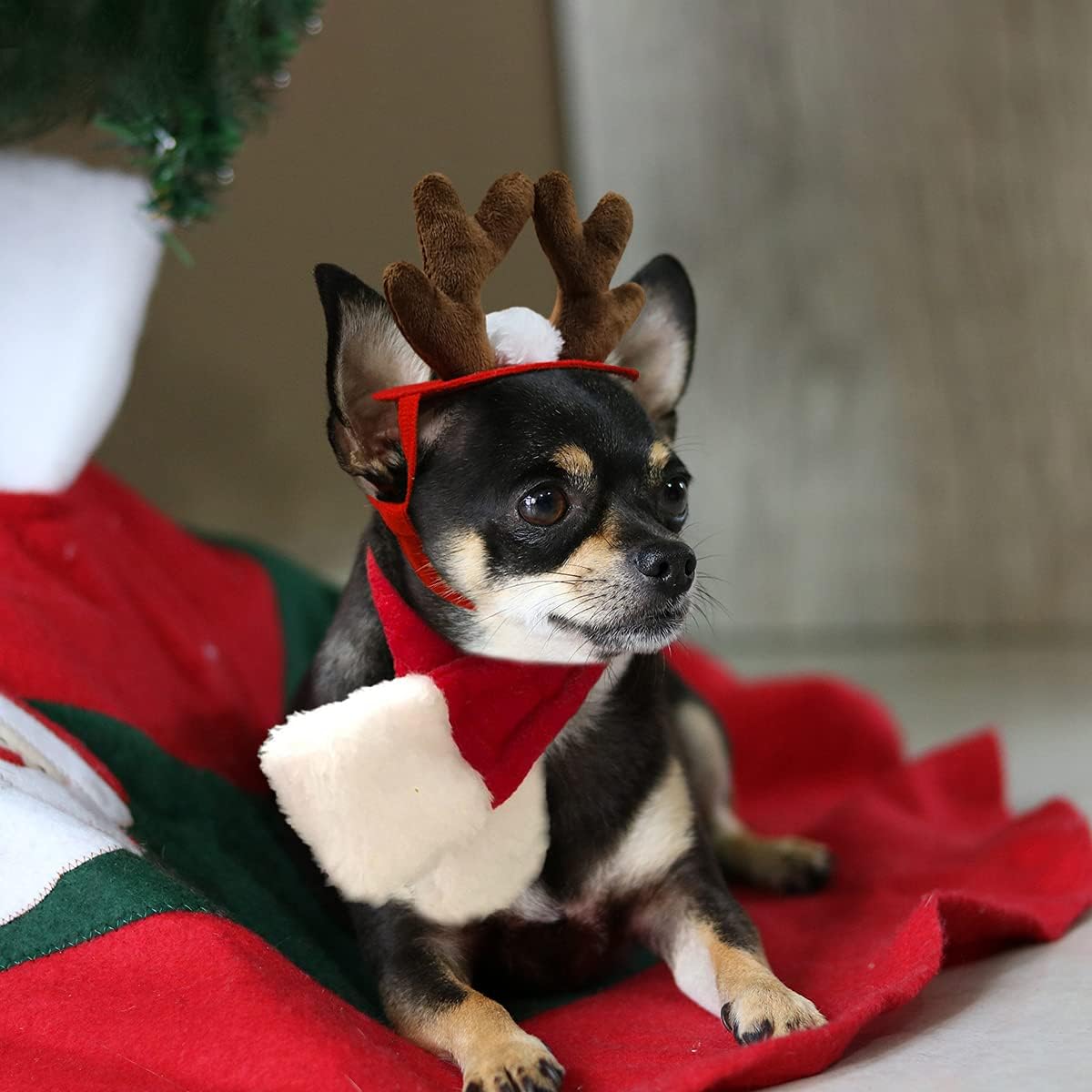 Enjoying Pet Christmas Costumes for Cats Small Dogs, Cat Reindeer Antlers Headband with Xmas Scarf, Adjustable Doggie Reindeer Hat Santa Scarf, Kitten Christmas Outfit Cosplay