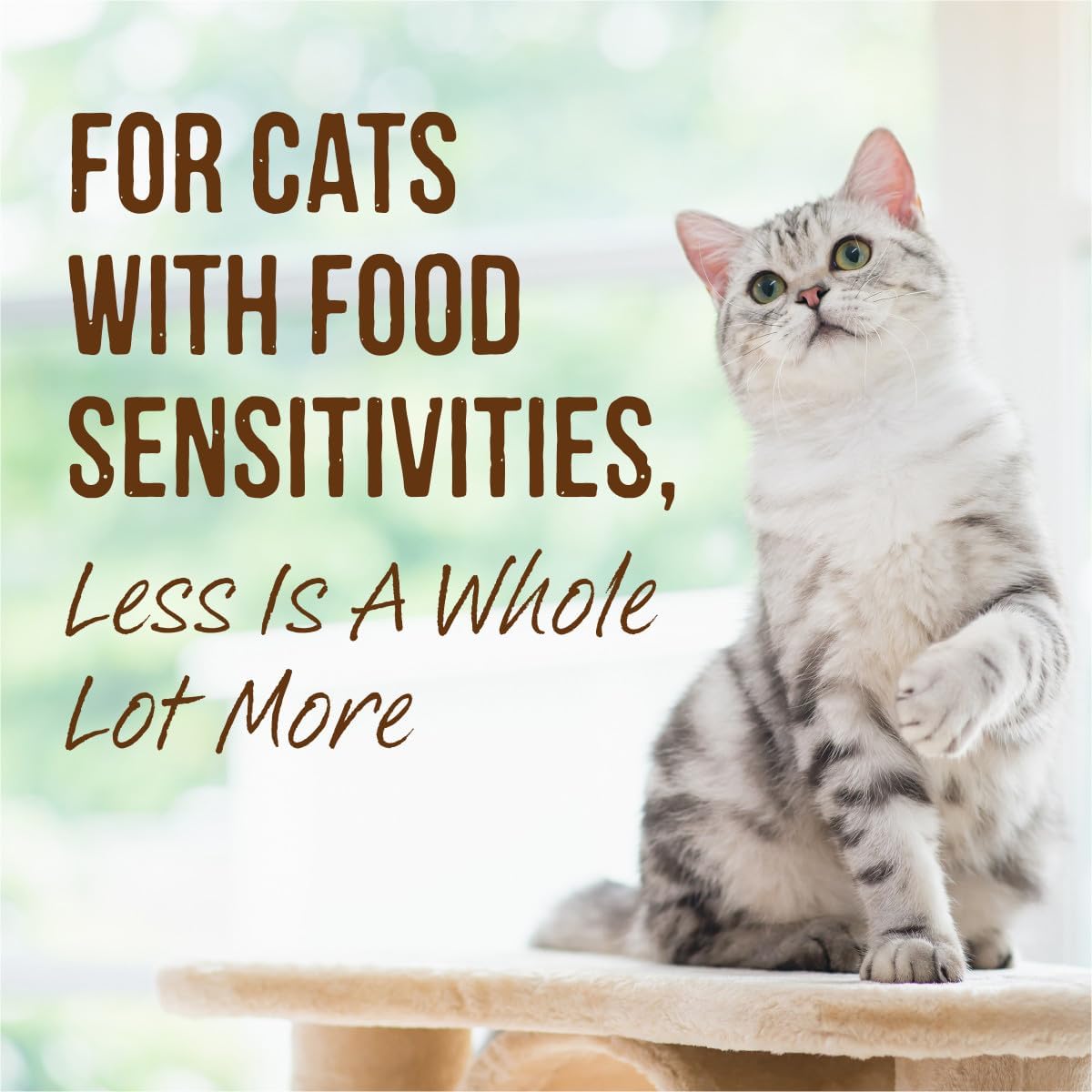 Merrick Limited Ingredient Diet Premium Grain Free And Natural Canned Pate Wet Cat Food, Chicken Recipe - (Pack of 24) 2.75 oz. Cans