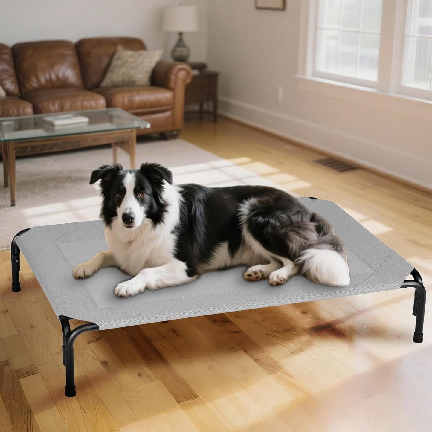 Elevated Dog Bed for Outdoor, Medium Raised Dogs Cot for Training, Cooling Pet Beds with Washable Mesh, Indestructible Lifted Platform for Outside Camping, 35 inch Grey