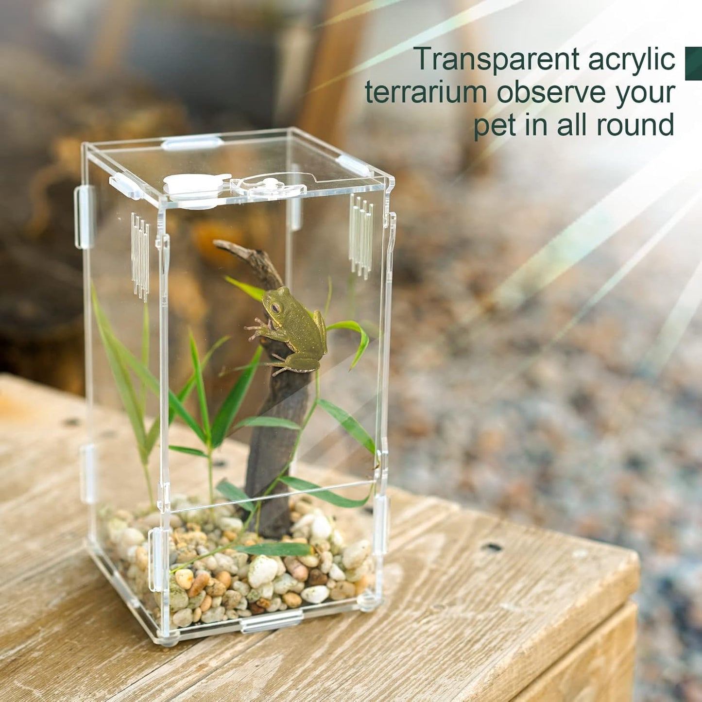 BETAZOOER Acrylic Mini Reptile Tank Habitat Transparent Terrariums with Locking Latch Suitable for Tarantula Isopod Roach Invertebrates (4''x4''x8'')