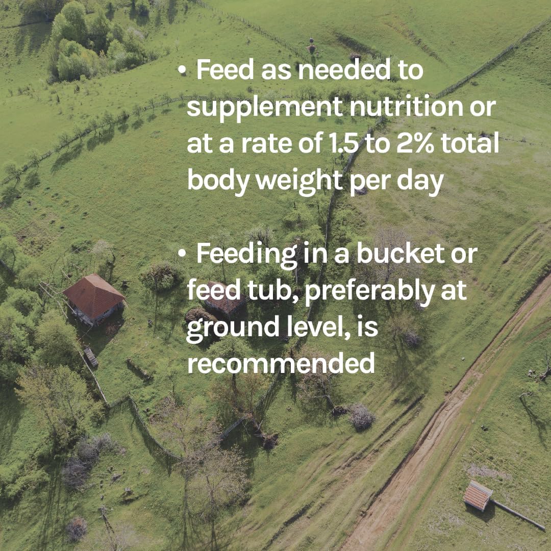 New Country Organics | Beet Pellets | Beet Pulp for Horses | Higher Fibre and Non-GMO | 40 lbs