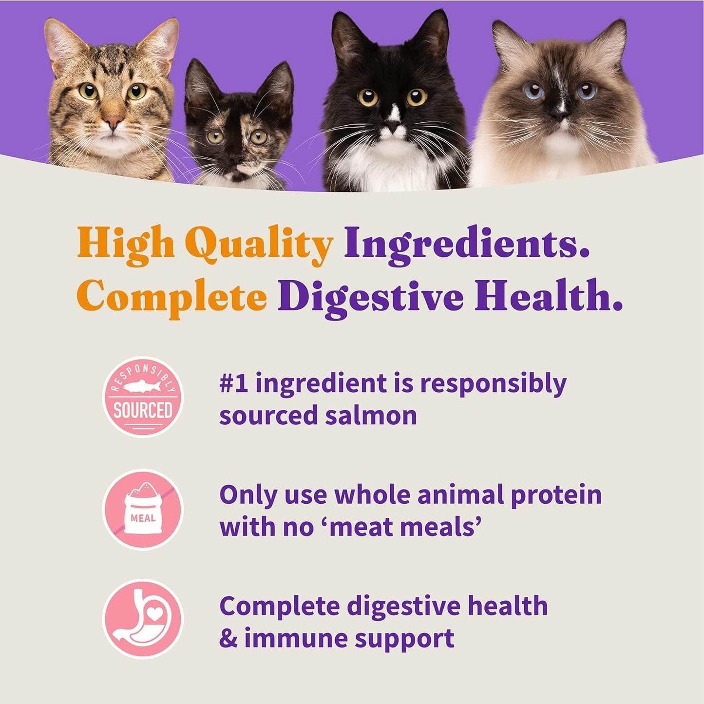 Halo Holistic Cat Food Wild Caught Salmon & Whitefish Formula, Healthy Grains Dry Cat Food, Complete Digestive Health, Kibble for Adult Cats, 3 lb Bag