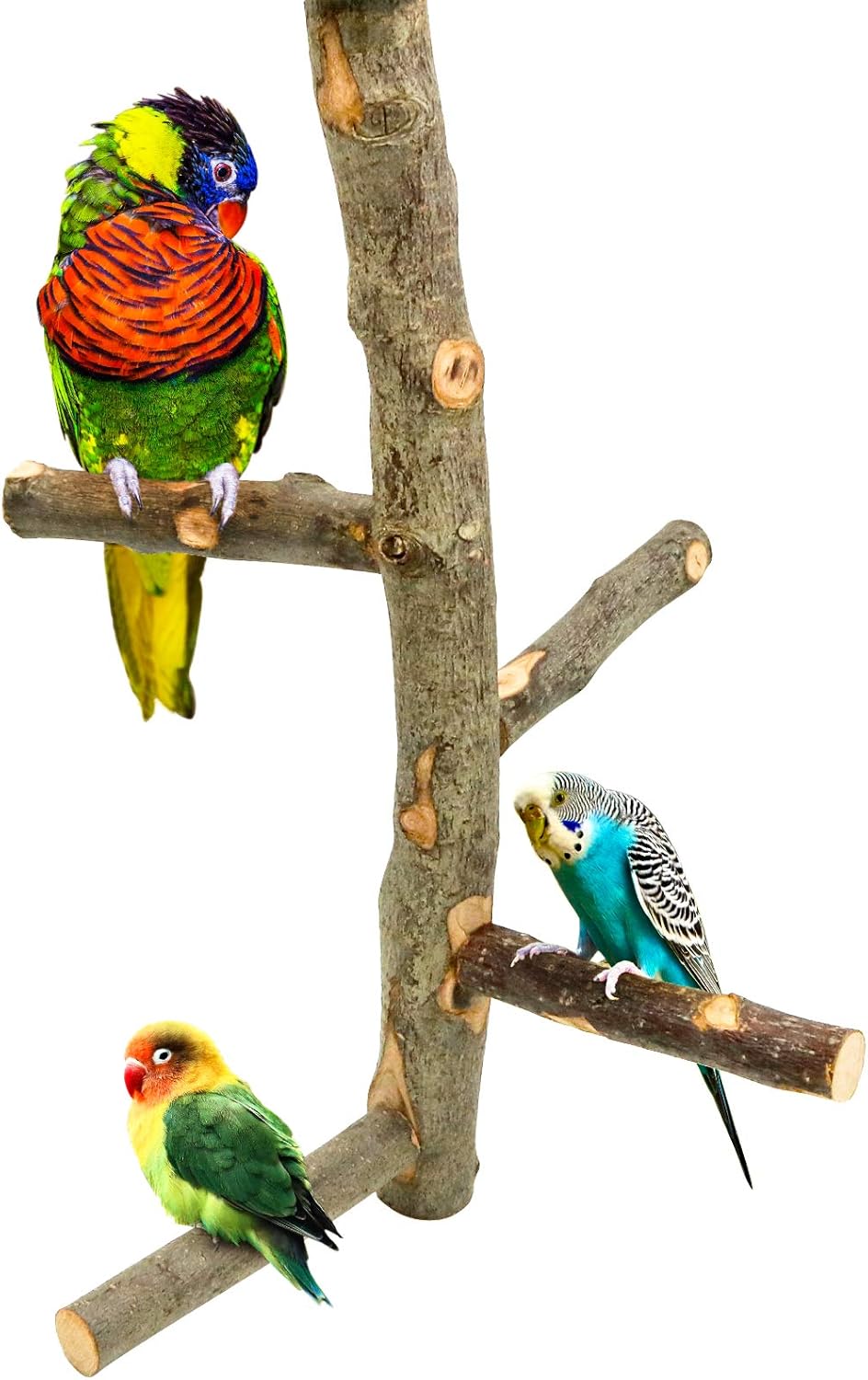 Bird Perch Nature Apple Hard Wood Stand, Parrot Stand Toy Branch Platform Paw Grinding Stick for Small Parakeets Cockatiels Conures Parrots Love Birds Finches Cage Accessories (Set 1)