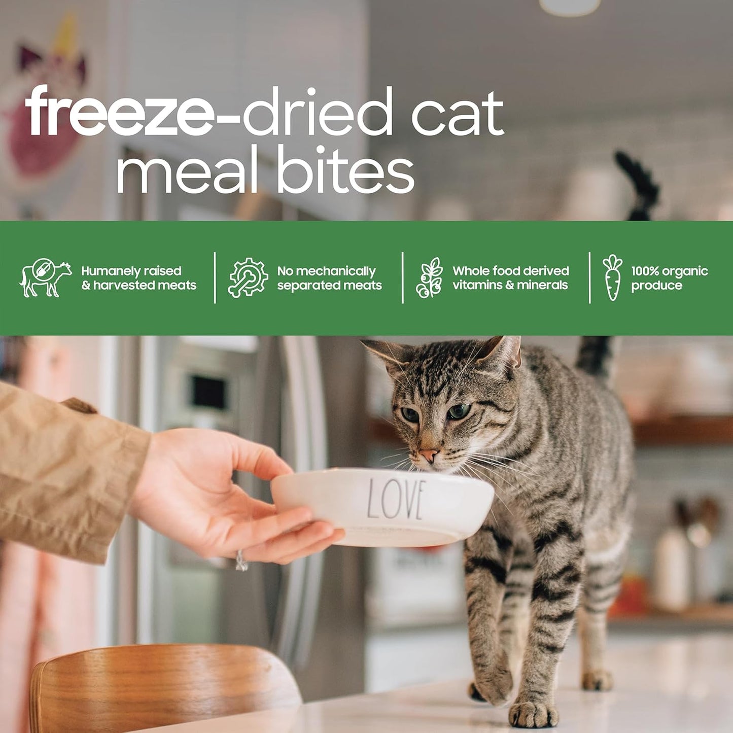 smallbatch Pets Freeze Dried Cat Treats, Raw Dry Cat Food Bites, Turkey Recipe, High Protein Food Topper or Training Treats for Cats, Humanely Sourced Meat, Made in The USA, Non GMO, 10 oz Bag