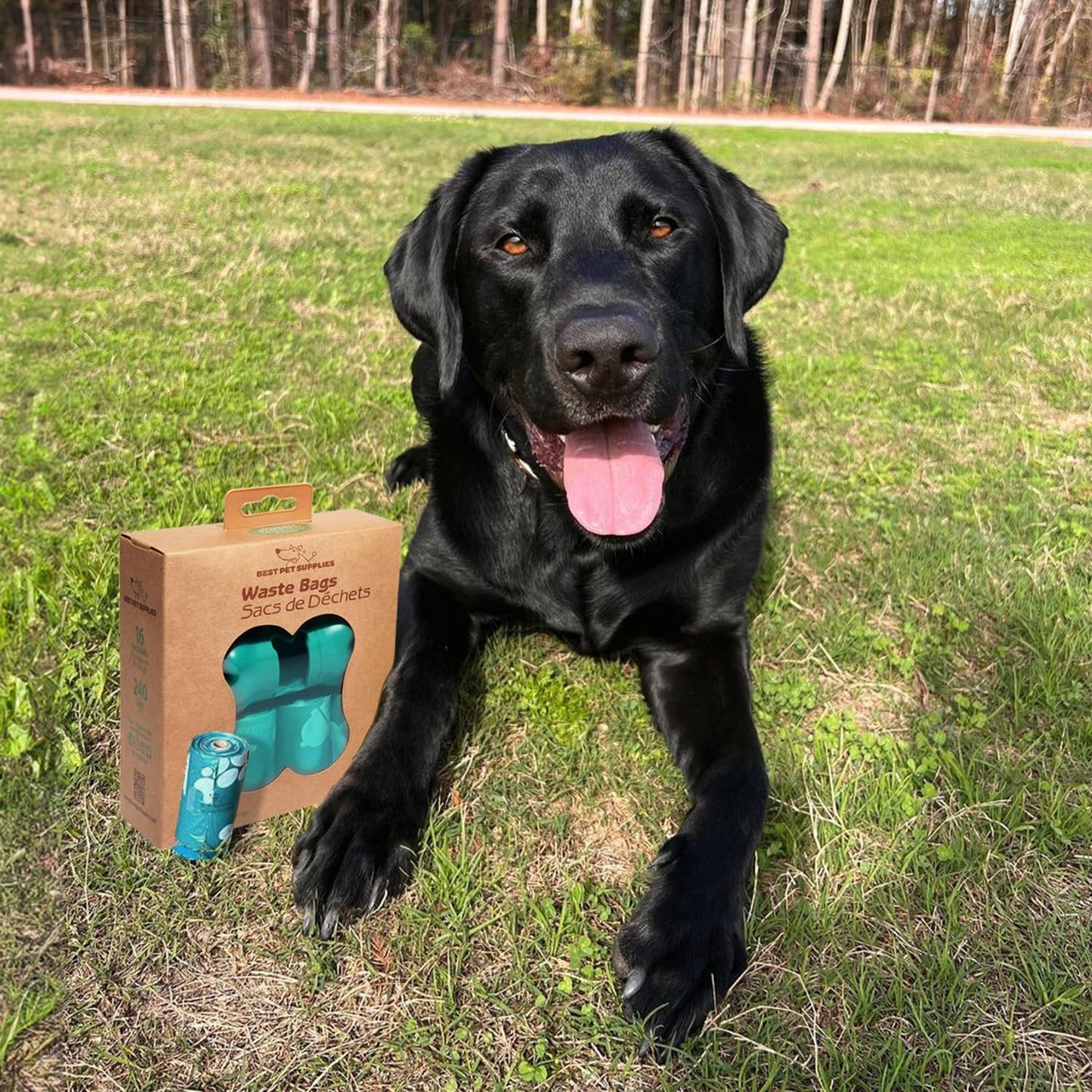 Best Pet Supplies Dog Poop Bags (240 Bags) for Waste Refuse Cleanup, Doggy Roll Replacements for Outdoor Puppy Walking and Travel, Leak Proof and Tear Resistant, Thick Plastic - Turquoise