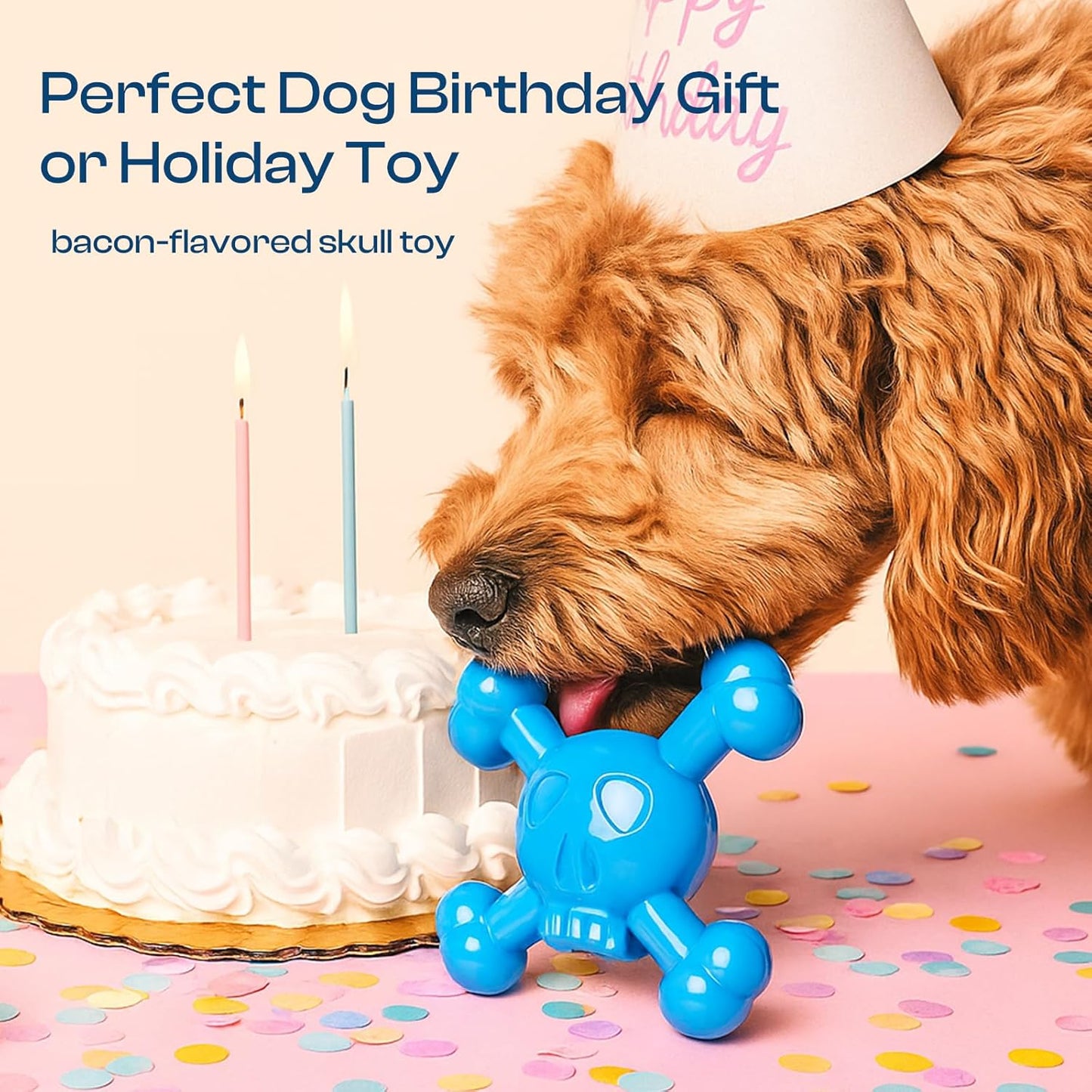 Dog Chew Toys for Aggressive Chewers – Indestructible Nylon Bone for Puppy Teething,Tough Chew Toy for Small Dogs, Bacon Flavor and Outdoor Fun, Skull Design