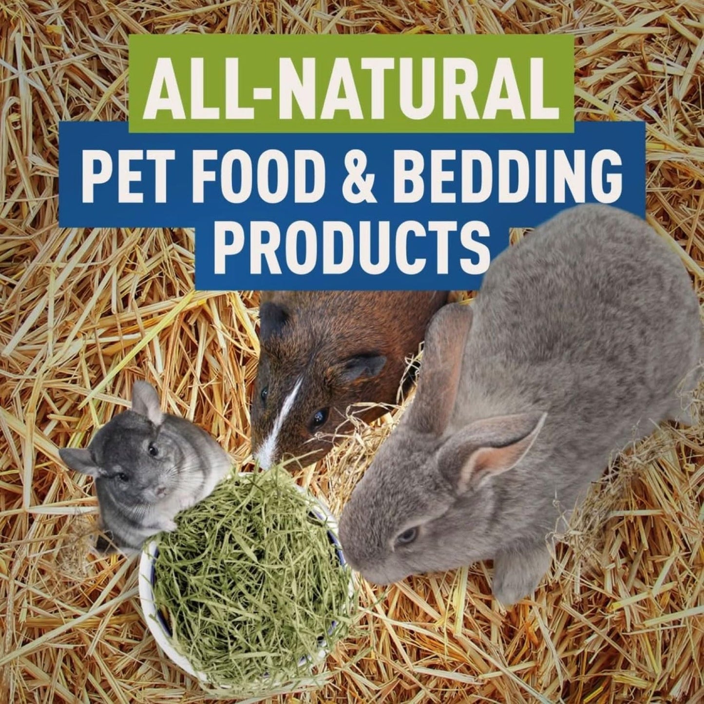 Blue Mountain Hay | Organic Bedding Straw (10 lb) | Natural Pet Bedding & Insulation for Rabbits, Guinea Pigs, Goats, Chickens, Stray & Feral Cats, and Small Animal Shelters