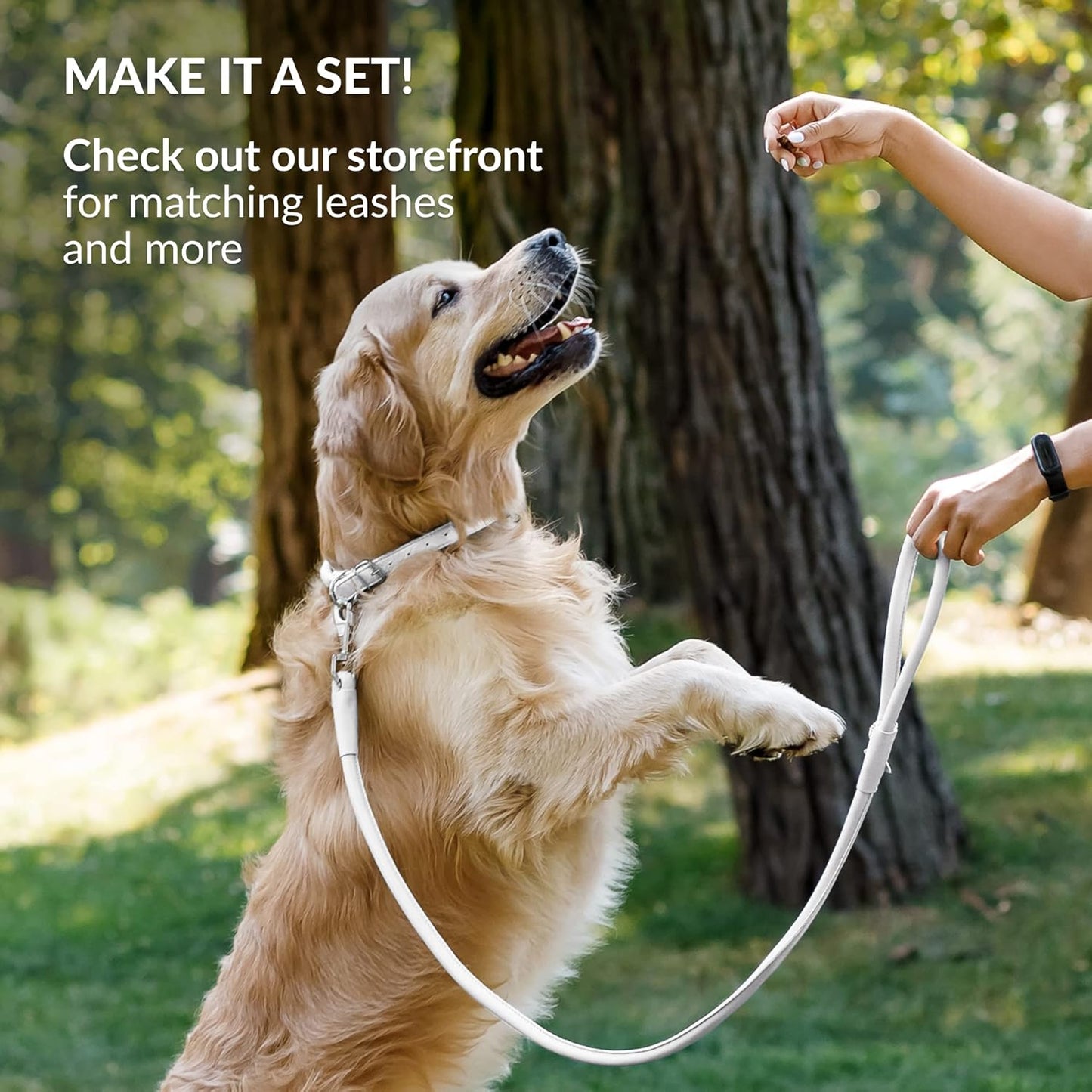 CollarDirect Rolled Leather Dog Collar, Soft Padded Round Puppy Collar, Handmade Genuine Leather Collar Dog Small Large Cat Collars 13 Colors (11-14 Inch, White Smooth)