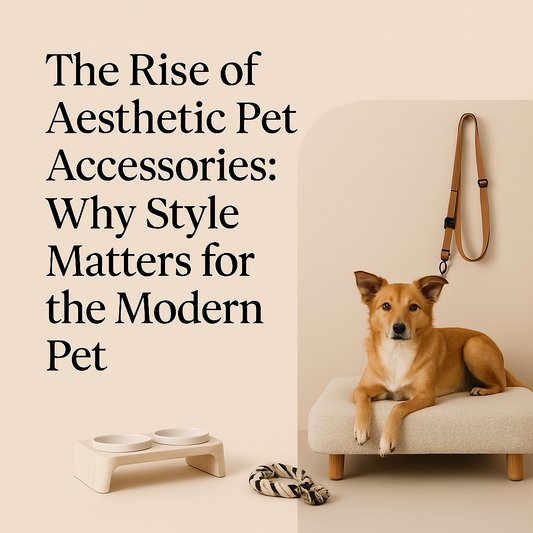 The Rise of Aesthetic Pet Accessories: Why Style Matters for the Modern Pet