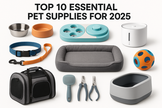 Top 10 Must-Have Pet Supplies Every Dog and Cat Owner Needs in 2025