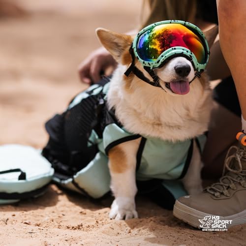 K9 Sport Sack Plus 2 - Small, Summer Mint - Ideal for Dogs 13-16” Long - Adjustable, Backpack-Style Carrier with Multi-Functional Storage Pack, Thick Shoulder Straps & Padded Back Panel