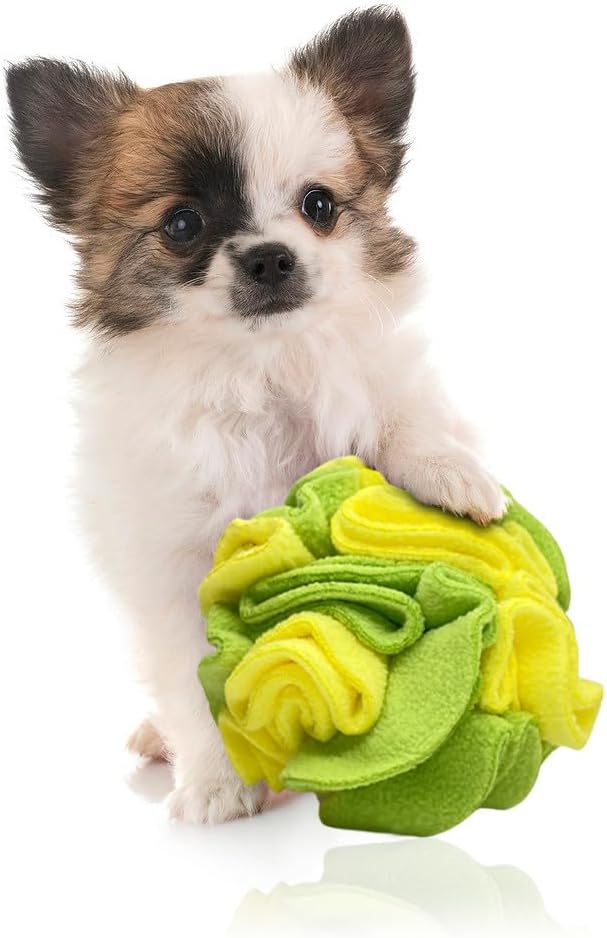 Glory To Dog Puppy and Small Breed Snuffle Interactive Foraging Dog Puzzle Ball Toy Lemon Lime Yellow and Green