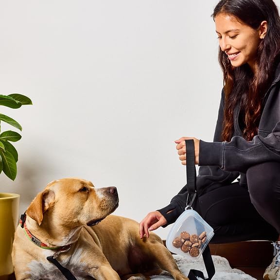 MODERN-X SnapPack Dog Treat Bag, 3-Pack Reusable Silicone Bags, Dog Treat Pouches, for Cats, Dish Washer Safe, Leakproof, Microwave & Freezer Safe, BPA-Free, Plastic Free Silicone, Multi-Color Trio