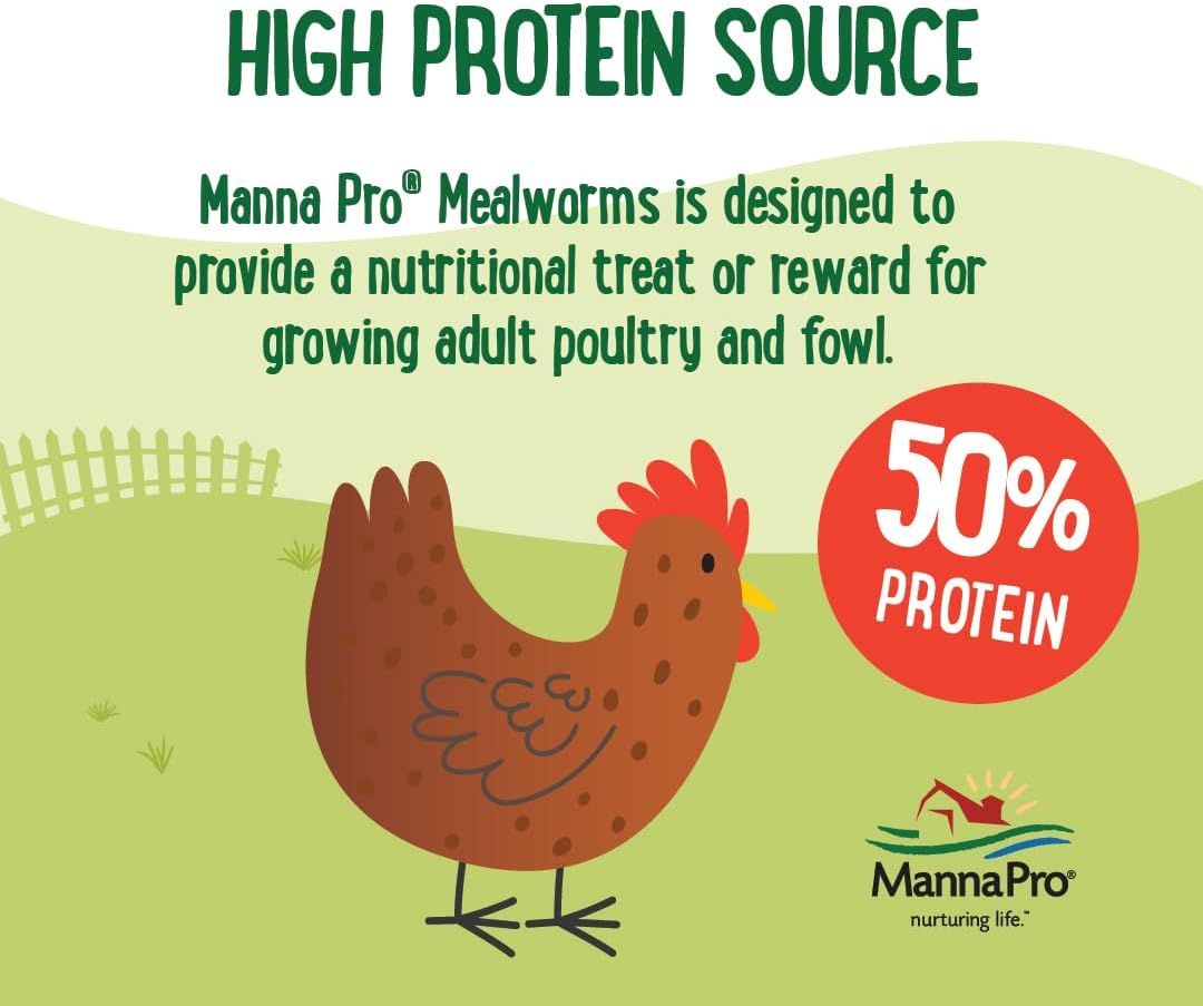 Manna Pro Mealworms Poultry Treat - High Protein, 100% Natural, 10oz