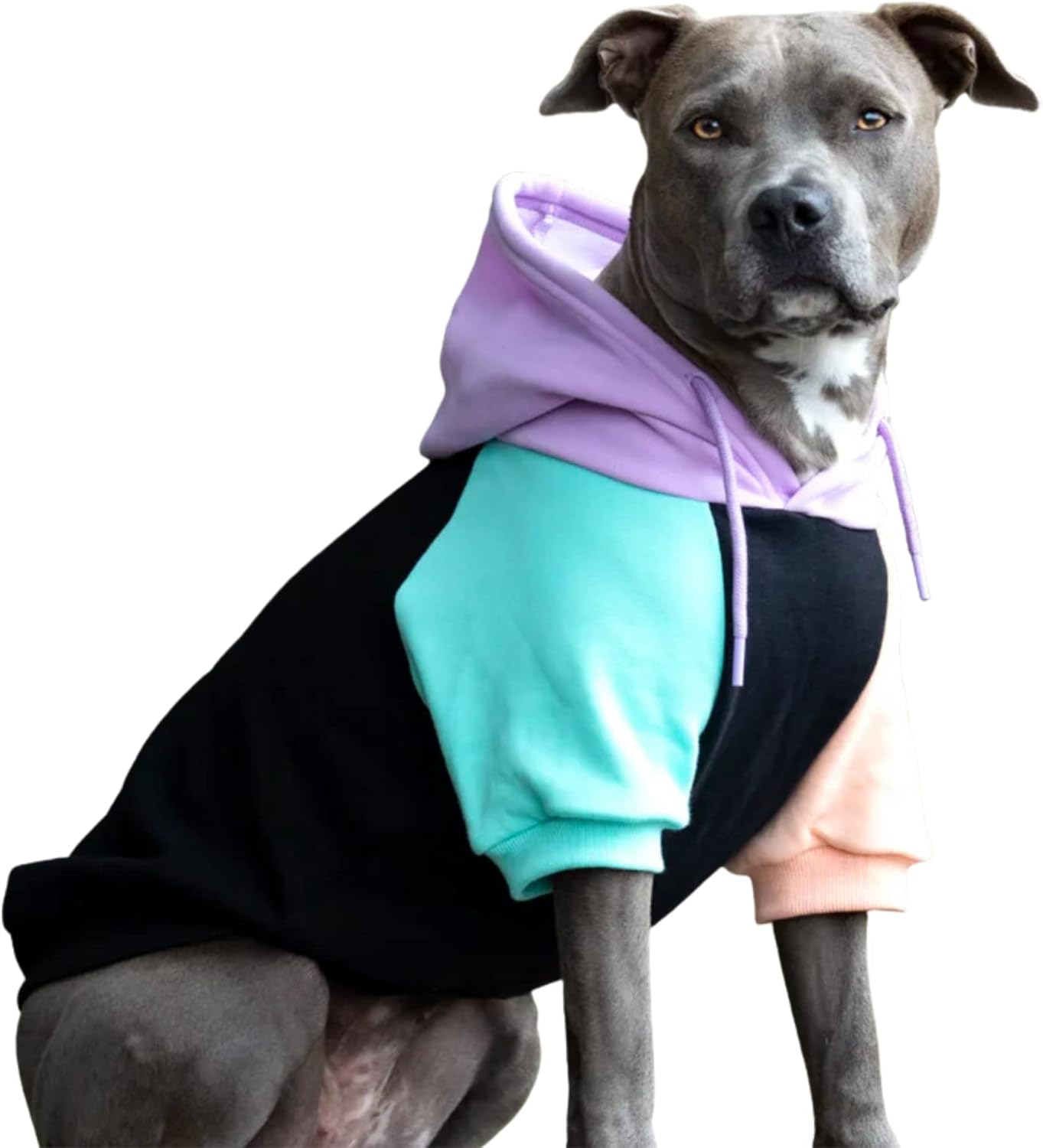Spark Paws Dog Hoodie – Premium Dog Sweater for Small, Medium, and Large Dogs | Warm Outfits for French Bulldogs, Pitbull, Puppy, Winter Jacket Alternative - Cyber Punk - 2XL