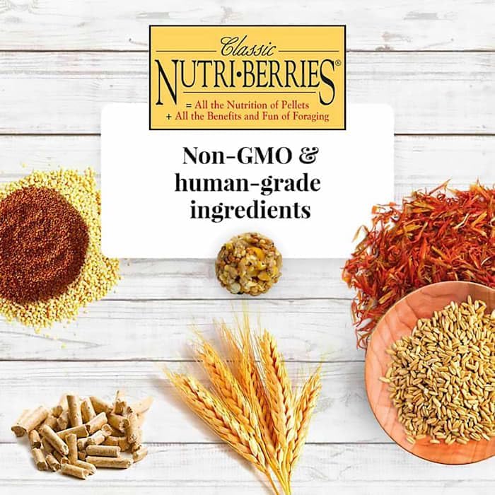 Lafeber's Classic Nutri-Berries for Macaw / Cockatoo 3.5 lb. Tub