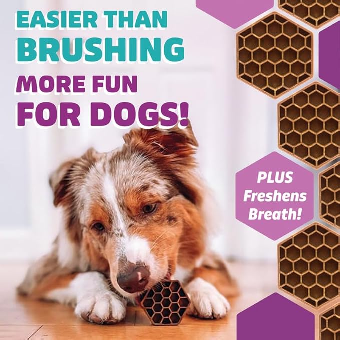 Longevity15 C15:0 Dog Health Supplement (30-Day Supply) & Yummy Combs Dog Dental Treats (8oz Bag) for Small Dogs – C15:0 Fatty Acid for Daily Wellness, Food Topper – VOHC Approved Oral Care