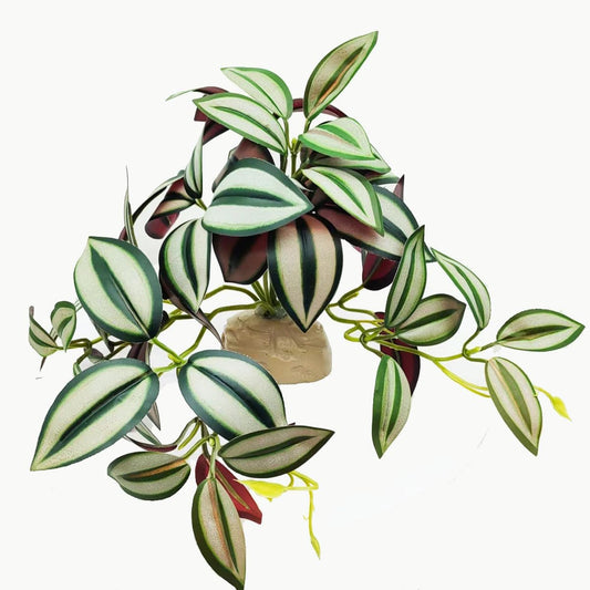 Reptile Plants for Terrarium Decor,Amphibian Habitat Decor, Bearded Dragon Tank Accessories,Artificial Plants for Gecko Chameleon Snake Tortoise with Base (Zebrina)