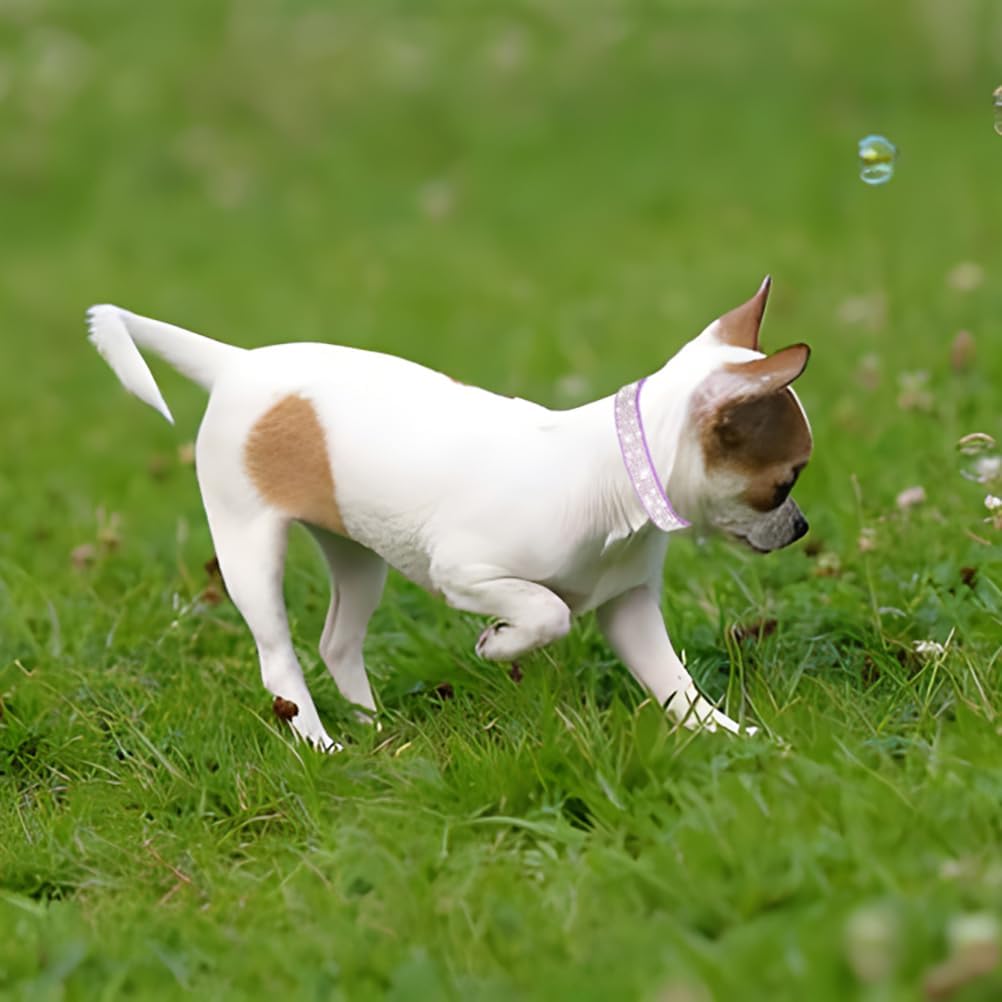 Rhinestone Dog Collar for Small Dogs, Bling Diamond Fancy Crystal Glitter Pretty Jewel Pet Puppy Collars for XXS XS Small Medium Large Breed Girl Dogs Female Cats Kitten, Hot Pink XSmall