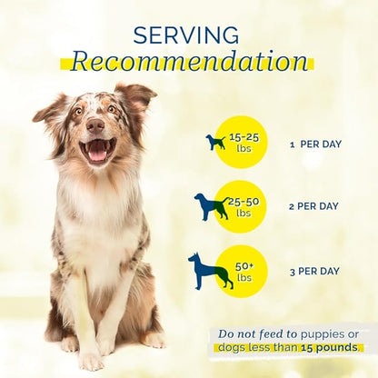 PCI Pet Center, Inc. Duck Breast Cutlets for Dogs - 100% Natural Dog Treats - Premium Quality, Single Ingredient Raw Dehydrated Chews - USA Made - No Additives - Delicious, Healthy Snack - 1lb