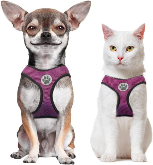 BINGPET Small Dog Harness - Breathable Mesh Puppy Cat Harnesses - No Pull Adjustable Dog Harness Dog Vest Harness for Small and Medium Dogs