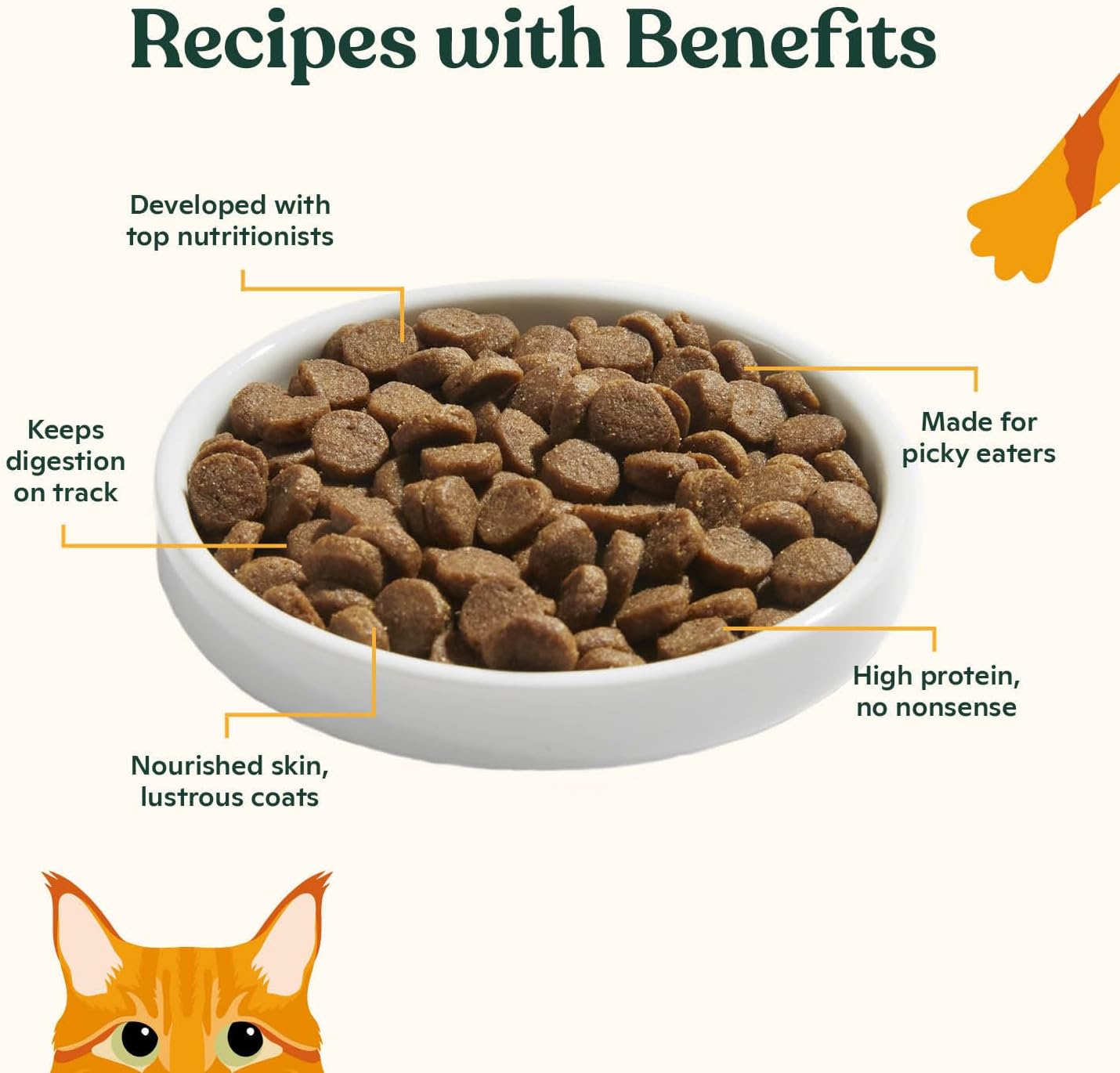 Made by Nacho Dry Cat Kibble 2lb Bag, High Protein and Grain-Friendly Premium Cat Food, Cage-Free Chicken & Pumpkin Recipe, Infused with Bone Broth for Hydration, Limited Ingredients, Single Bag