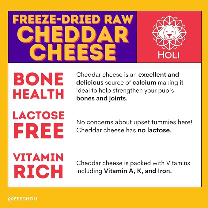 HOLI Freeze Dried Cheddar Cheese Dog Treats - 100% All Natural - Human Grade, Single Ingredient, Lactose Free - Grain Free, Gluten Free, Soy Free – (10 Ounce)