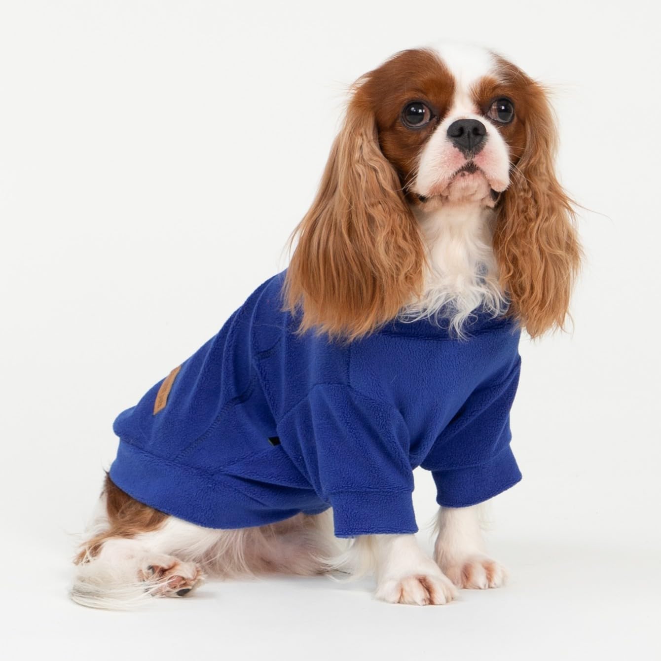 Fitwarm 3 Pack Classic Fleece Dog Sweater, Winter Clothes for Small Dogs Boy Girl, Turtleneck Dog Sweatshirt, Pet Apparel, Orange Red, Royal Blue, Neon Yellow, Large