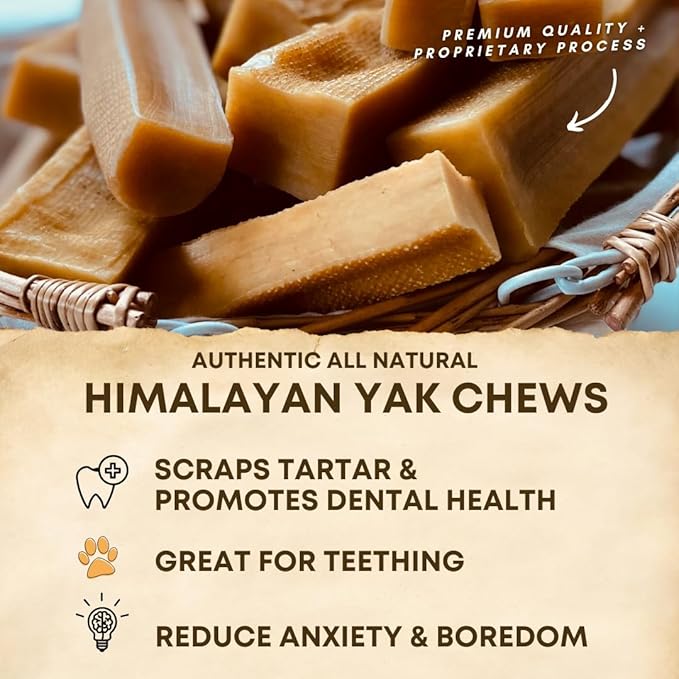 Yak Cheese Himalayan Dog Chews – Long-Lasting Natural Chews for Aggressive Chewers – 2-Ingredient, High Protein, Odorless, Dental Health Treats for Dogs (Large, 4 Pack)