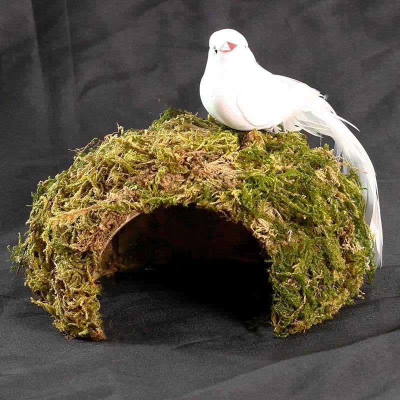 Coconut Hamster Hideout Hamster House Gerbil Cage for Small Animals with a Bundle of Apple Sticks a Carrot (Green)