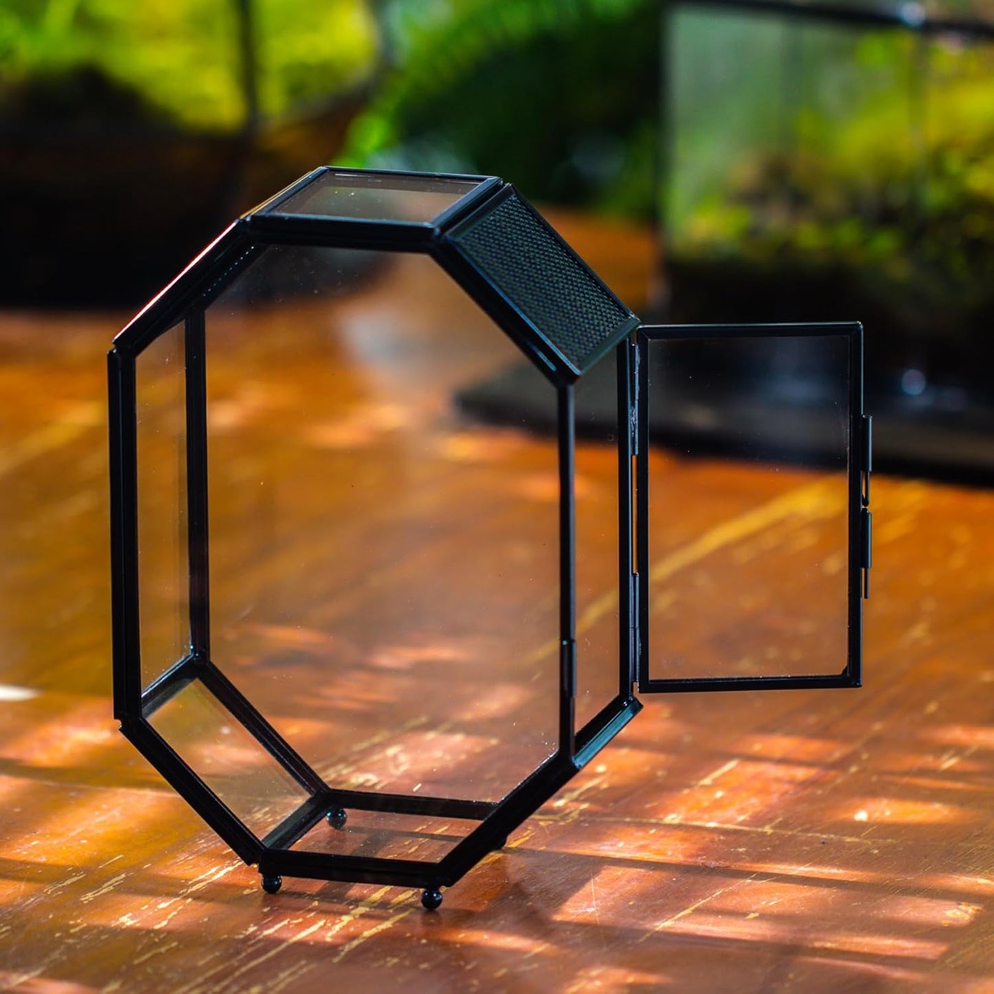 NCYP Mini Glass Terrarium with Vent and Door for Succulents Plants, Jumping Spiders, Insect - Octagon Small Closed Geometric Enclosure, Black Indoor Tabletop Decor, 5 x 2.3 x 7 Inches (Terrarium Only)