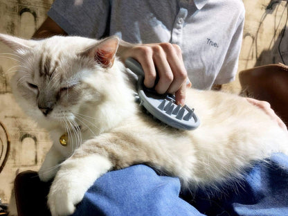 Cat Brush Shedding Grooming, Soft Massage Cat Tongue Brush, Licking Your Cat Like a Mama Cat to Comfort, Surprise Pet Gifts