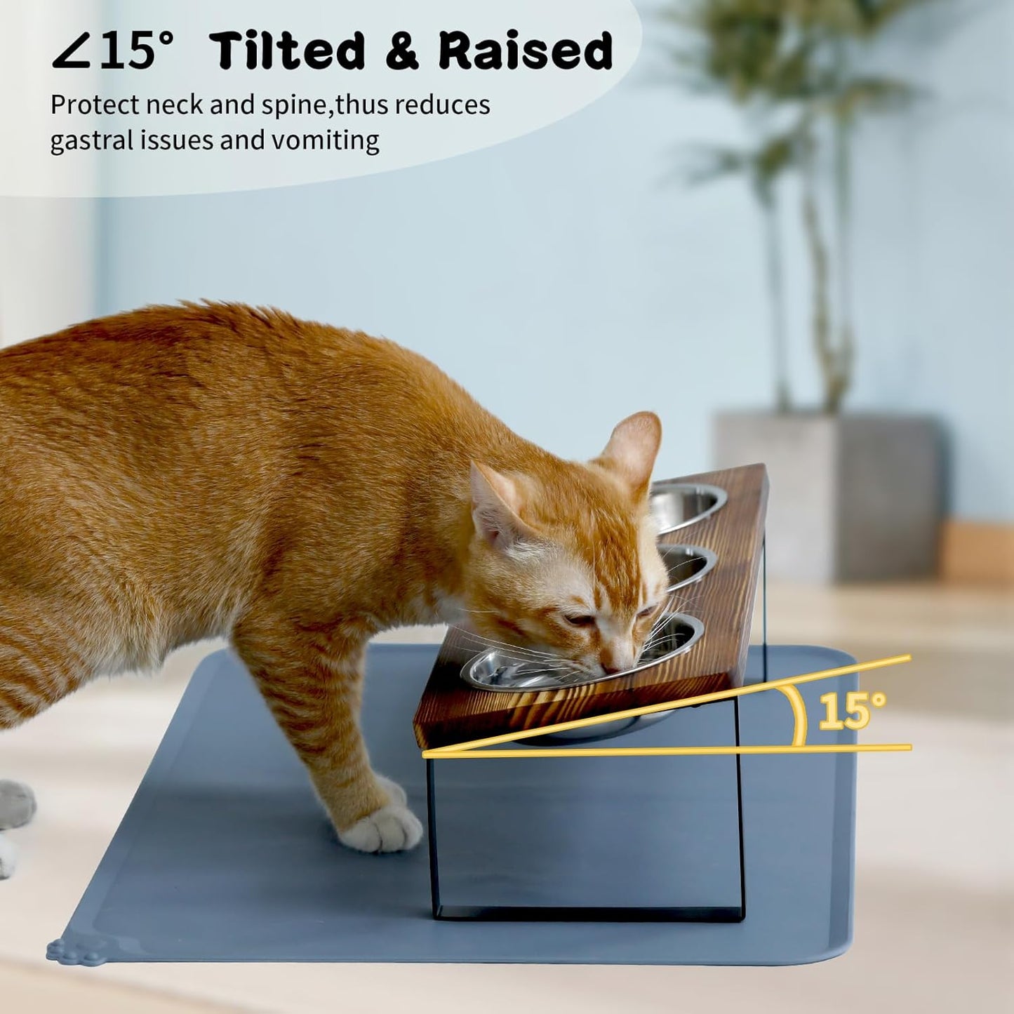 Upgraded Elevated Cat Bowls with Food Mat,15°Tilted Stand Anti Vomiting Raised Cat Dishes for Food and Water,3 Stainless Steel Bowls for Cats and Puppy（Rustic Brown）
