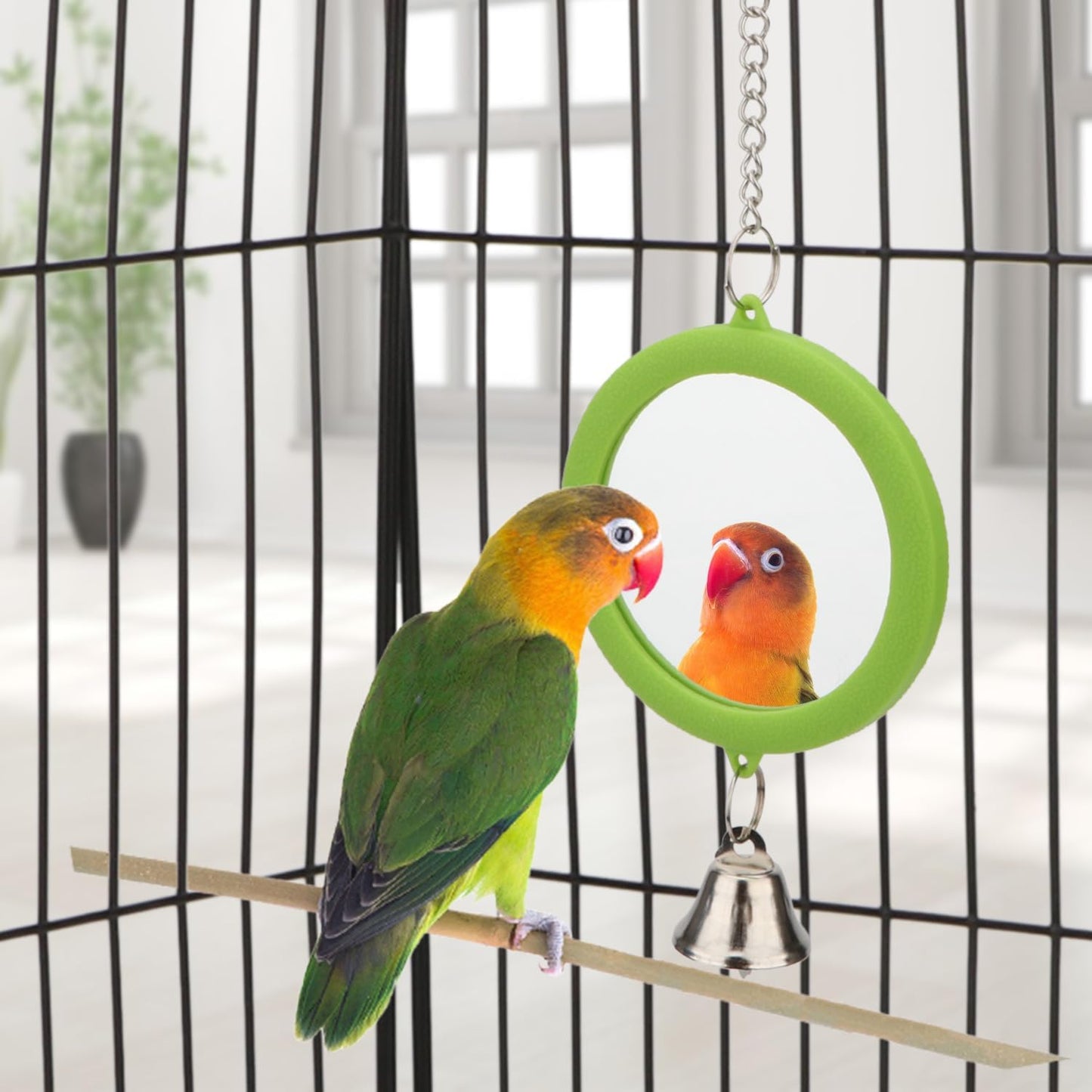Hypeety Pet Bird Mirror with Bell Interactive Parrot Toy Bird Cage Mirror for Cockatiel Parakeets Canaries Budgie (Green)
