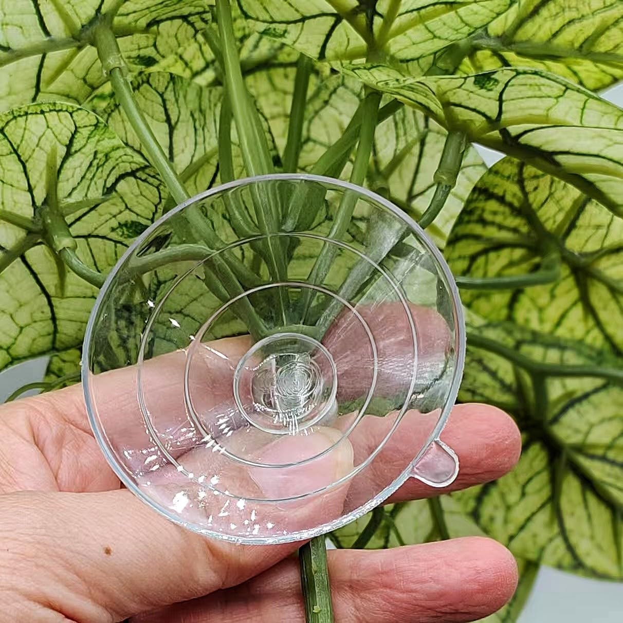 Reptile Plants for Terrarium Decor, Amphibian Habitat Decor, Reptile Tank Accessories, Artificial Hanging Plants with Suction Cup-2 Packs (Green Arrowhead)