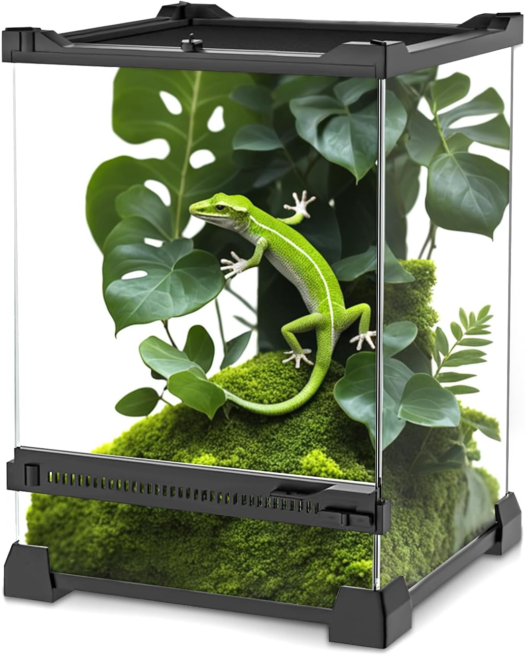 Mini Reptile Glass Terrarium 8"x8"x12" Durable Reptile Habitat Tank with Heat Resistant Aluminum Alloy Frame, Single Swinging Doors for no Jam by Sand and Other Debris