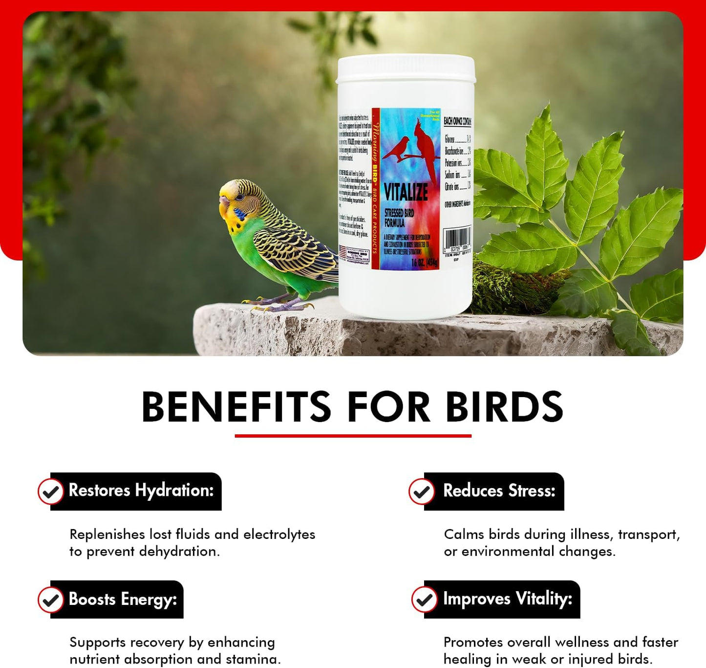 Morning Bird Vitalize, Supplement for Sick, Injured, or Stressed Caged Birds; Dehydration and Exhaustion Treatment for Parakeets, Cockatiels, Budgies, Finches, Canaries, and Parrots, 16 oz