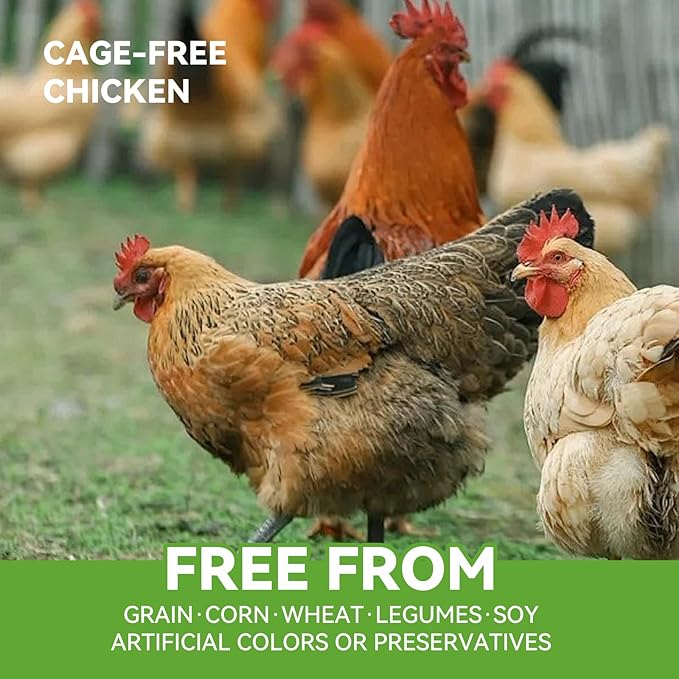 OPET Freeze Dried Cat & Dog Treats,Single Ingredient High Protein Grain Free Crunchy Cat Treats,Healthy Training Treats (Pack of 10, Chicken & Duck)