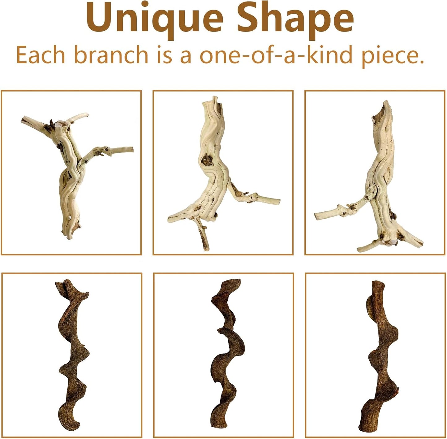 BNOSDM Reptile Branches, 15-17inch Snake Climbing Branch, Terrarium Wood Branch Decor, Bearded Dragon Tank Climbing Accessories for Lizard, Gecko, Chameleon, Frog, 2Pcs