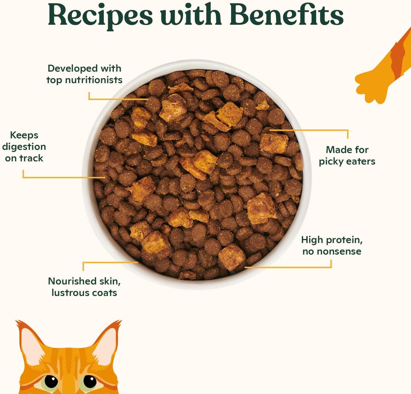 Made by Nacho Dry Cat Kibble 4lb Bag, High Protein Premium Cat Food with Freeze Dried Pieces, Sustainably-Caught Salmon, Whitefish & Pumpkin, Limited Ingredients, Single Bag
