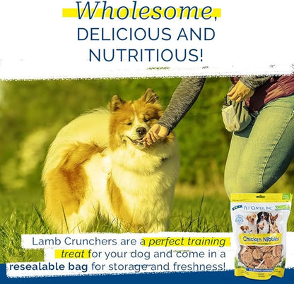 PCI Pet Center Inc. - Chicken Nibbles Dog Treat – 100% Real Raw Dehydrated Chicken Breast Bites for Small, Medium & Large Dogs - 1 lb