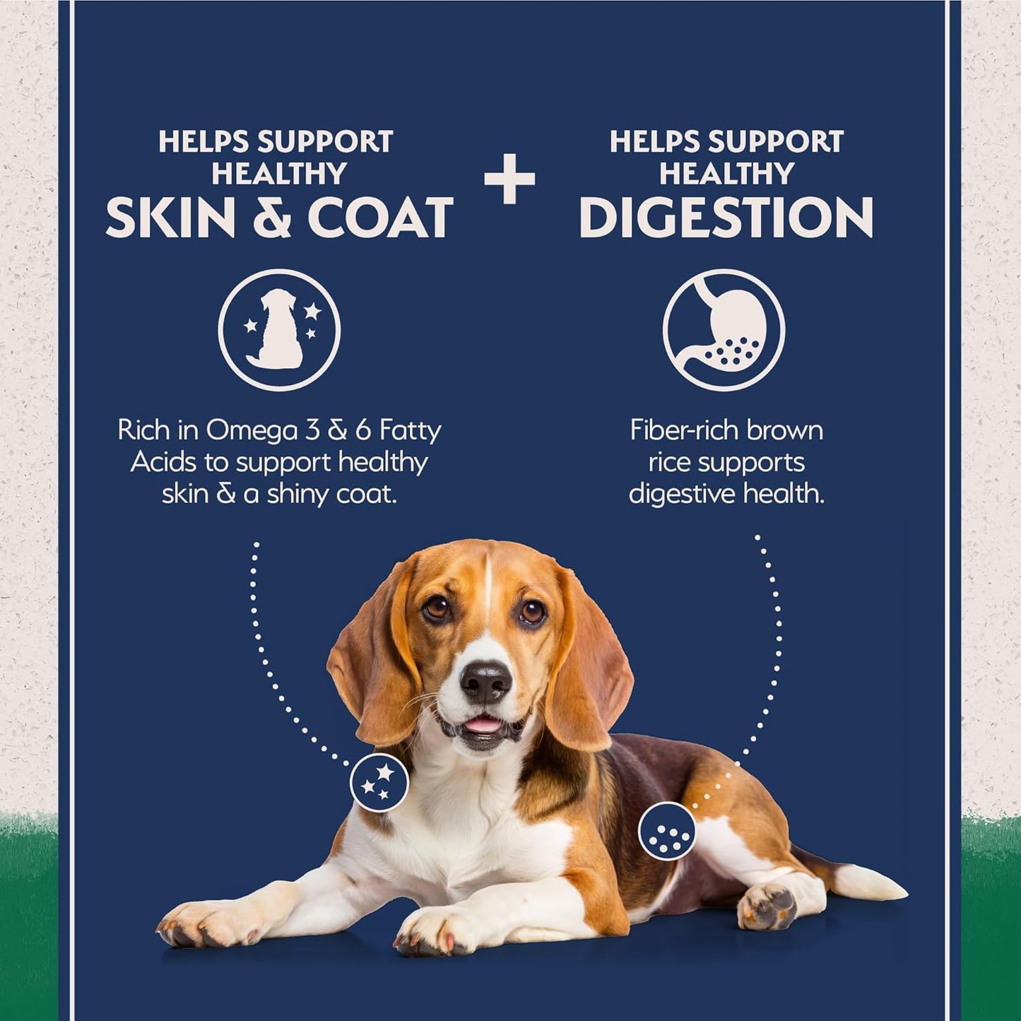 Natural Balance Limited Ingredient Adult Dry Dog Food with Healthy Grains, Lamb & Brown Rice Recipe, 4 Pound (Pack of 1)