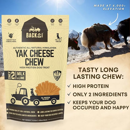 Yak Cheese Himalayan Dog Chews – Long-Lasting Natural Chews for Aggressive Chewers – 2-Ingredient, High Protein, Odorless, Dental Health Treats for Dogs (Large, 4 Pack)