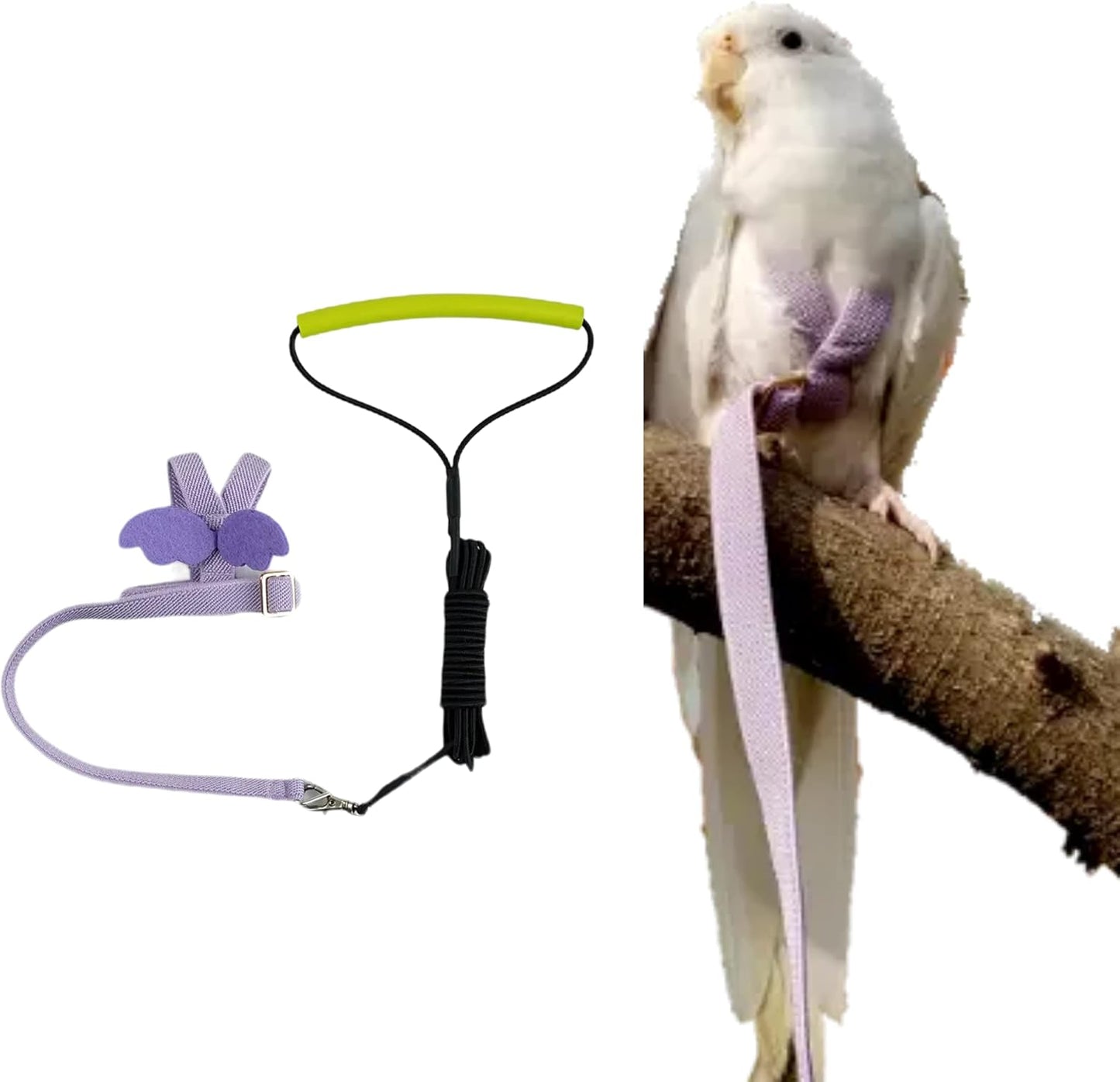 Pet Parrot Bird Harness Leash Adjustable Bird Flying Harness Traction Rope with Cute Wing for Parrots Pigeons Budgerigar Lovebird Cockatiel Mynah Outdoor Training Toy (M, Purple)
