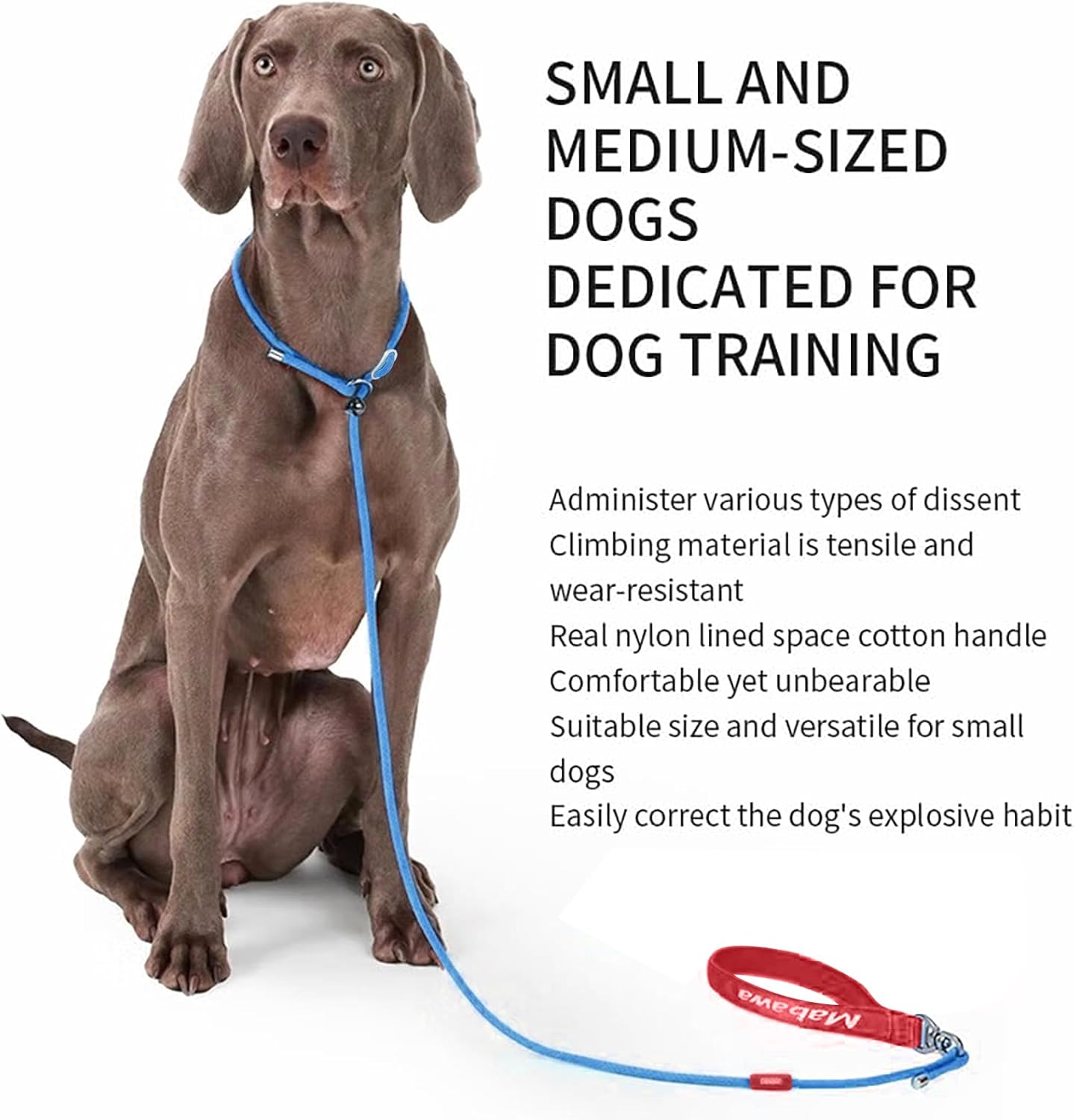 Dog Anti-Slip Leash 5FT with Metal Stopper - Durable No-Pull Training Lead for Small, Medium & Large Dogs - Comfortable Handle Nylon Rope, Tangle-Free Pet Walking Leash (Blue, 5 FT)