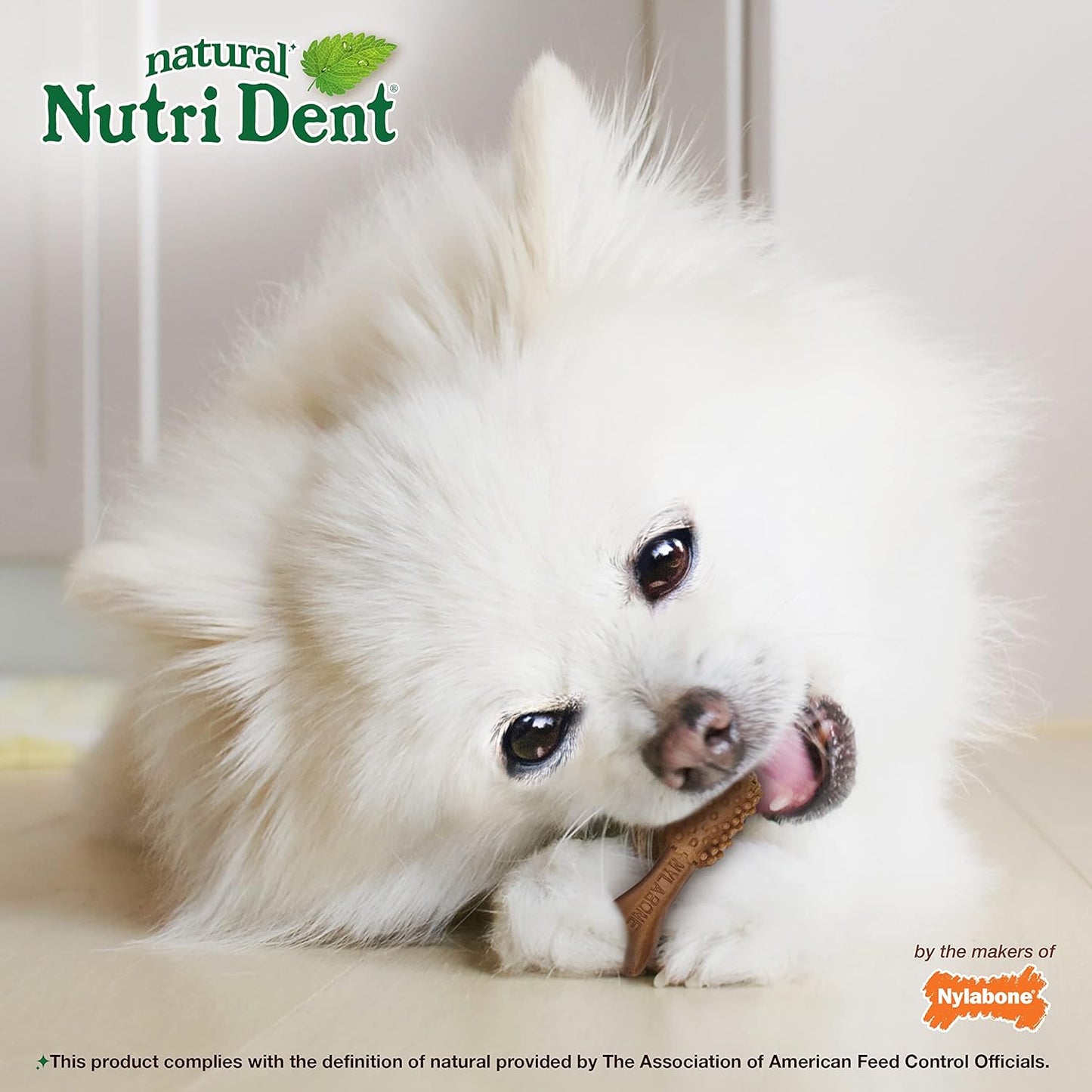 Nylabone Nutri Dent Dog Dental Chews - Natural Dog Teeth Cleaning & Breath Freshener - Dental Treats for Dogs - Filet Mignon Flavor, Mini (32 Count) (Pack of 2)