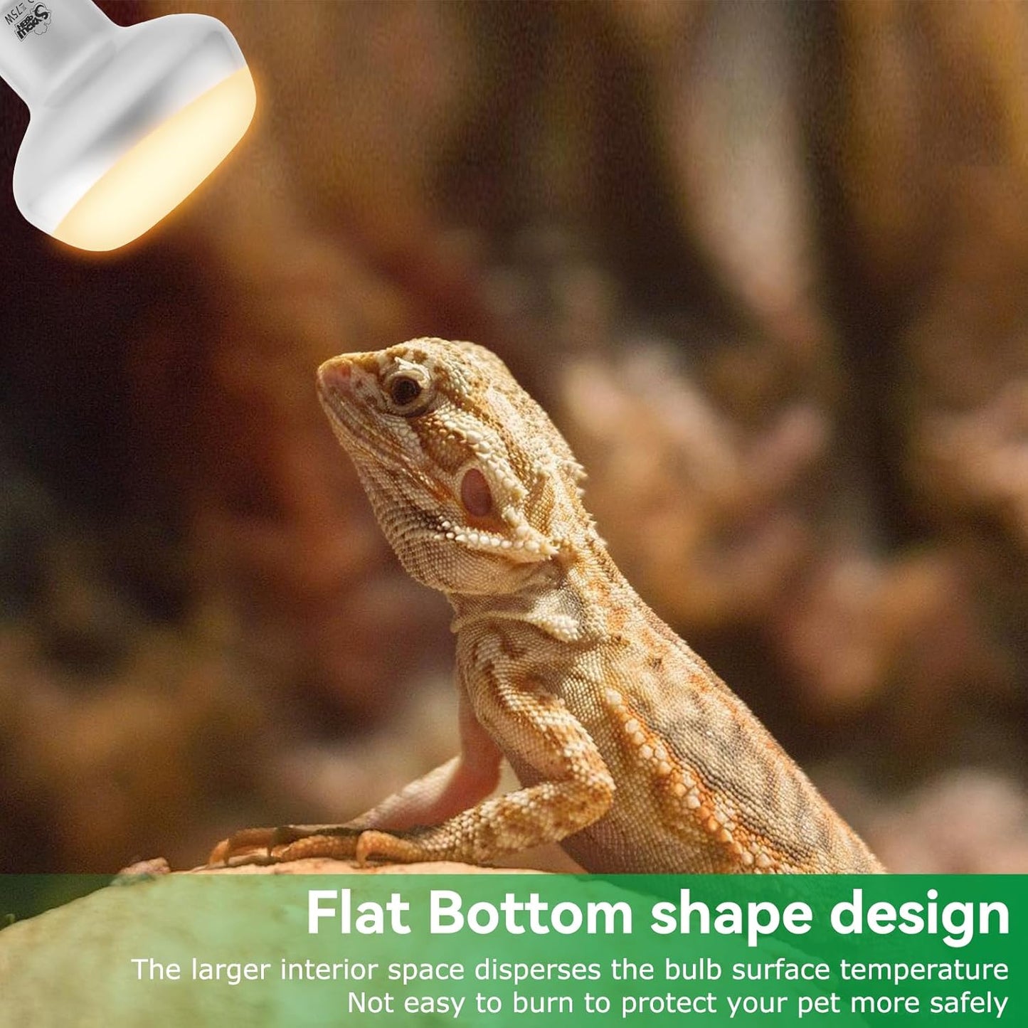 LUCKY HERP Intense Heat Lamp Bulbs for Reptiles 75W 2 Pack, UVA Daylight Reptile Heat Lamp, Reptile Basking Heat Light Bulb for Amphibian, Tortoise, Bearded Dragon, Lizard, Turtle, Snake Heating Use