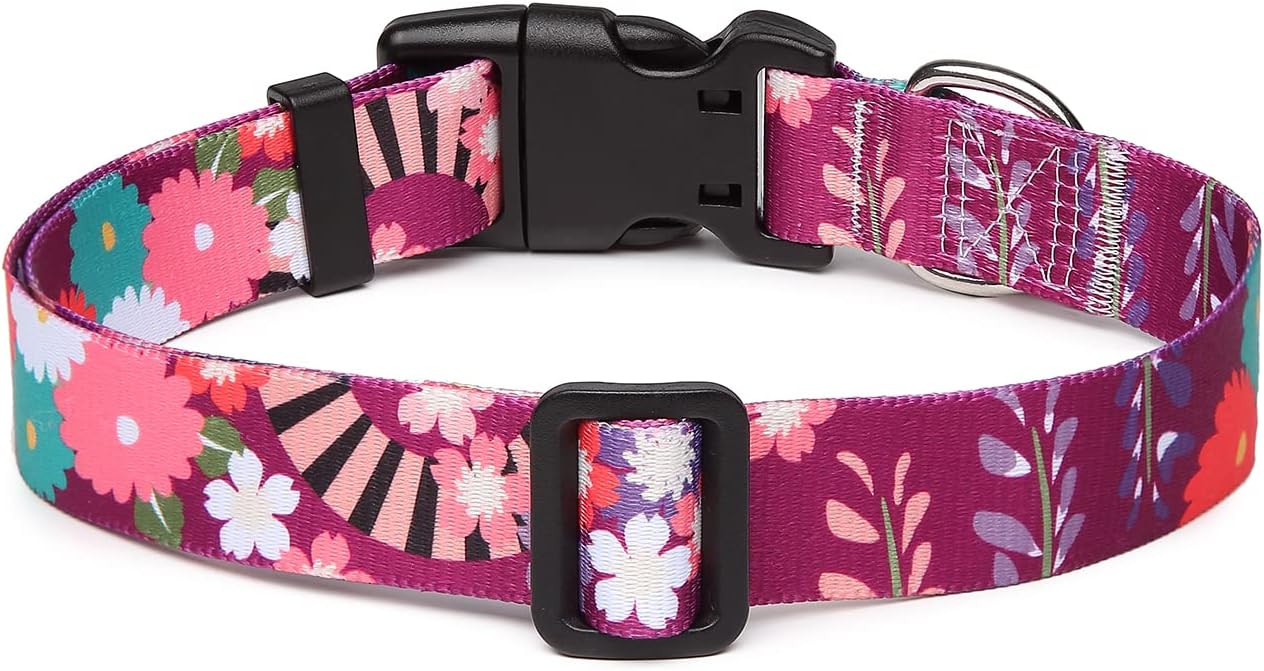 Mercano Adjustable Dog Collar - Special Design Patterns, Soft Nylon Comfortable Durable Pet Collar for Small Medium Large Dogs (M, Colorful Flower)