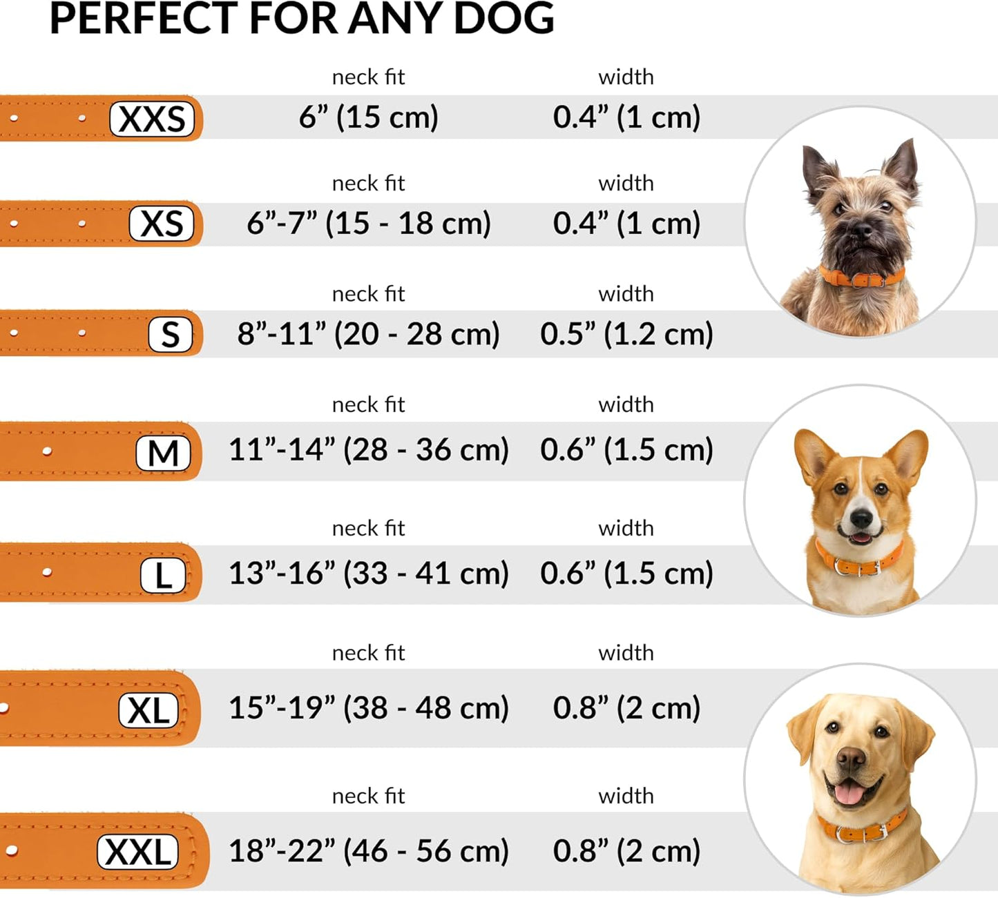 CollarDirect Rolled Leather Dog Collar, Soft Padded Round Puppy Collar, Handmade Genuine Leather Collar Dog Small Large Cat Collars 13 Colors (11-14 Inch, Orange Textured)